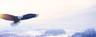 2026廈門新材料行業(yè)薪酬調(diào)研